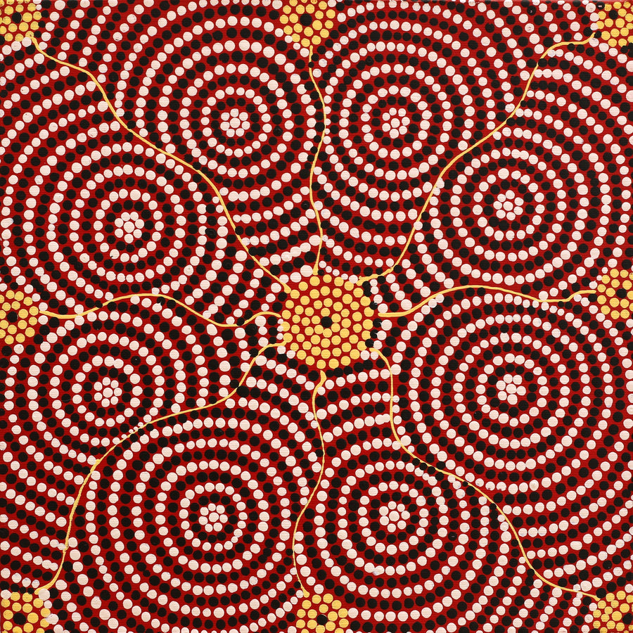 Aboriginal Artwork by Nardia Napurrurla Stafford, Ngurlu Jukurrpa (Native Seed Dreaming), 30x30cm