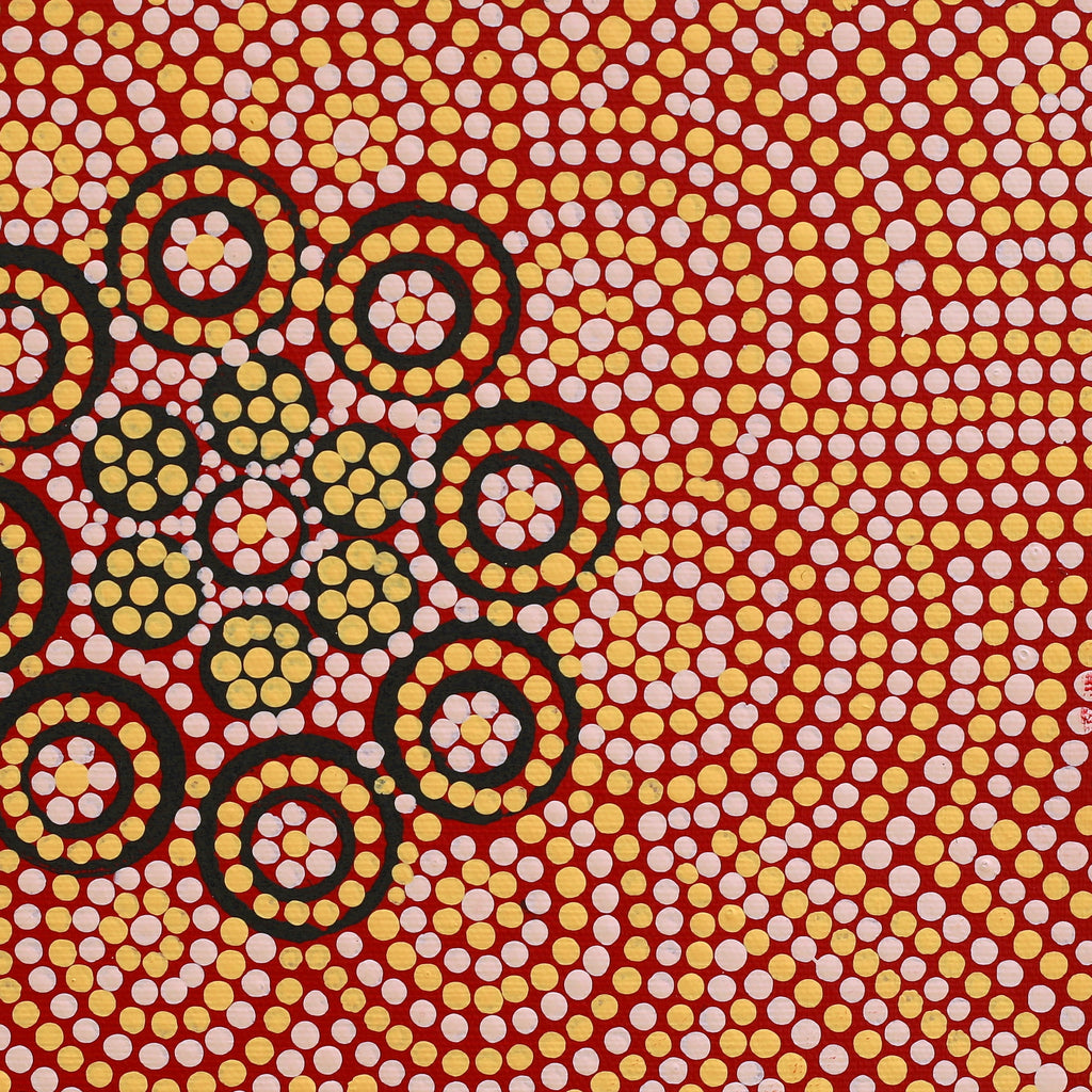 Aboriginal Artwork by Nardia Napurrurla Stafford, Ngurlu Jukurrpa (Native Seed Dreaming), 30x30cm