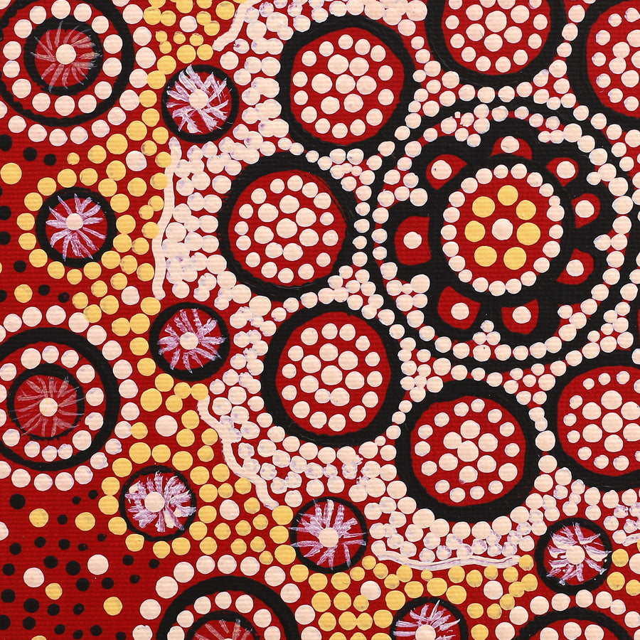 Aboriginal Artwork by Nardia Napurrurla Stafford, Ngurlu Jukurrpa (Native Seed Dreaming), 30x30cm