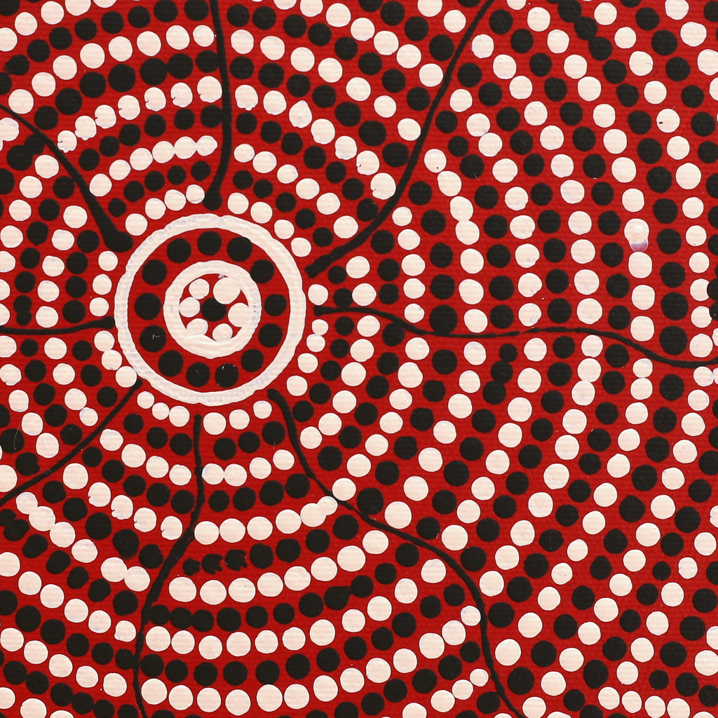 Aboriginal Artwork by Nardia Napurrurla Stafford, Ngurlu Jukurrpa (Native Seed Dreaming), 30x30cm