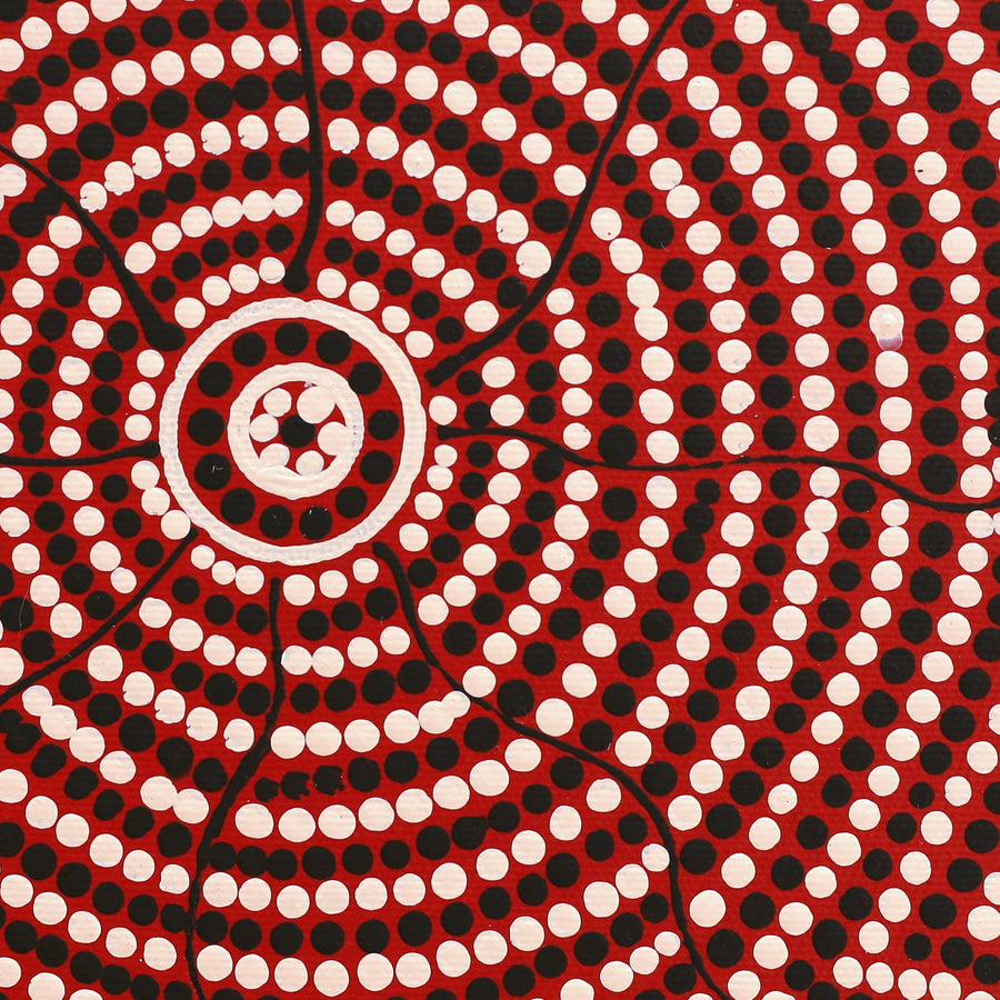 Aboriginal Artwork by Nardia Napurrurla Stafford, Ngurlu Jukurrpa (Native Seed Dreaming), 30x30cm