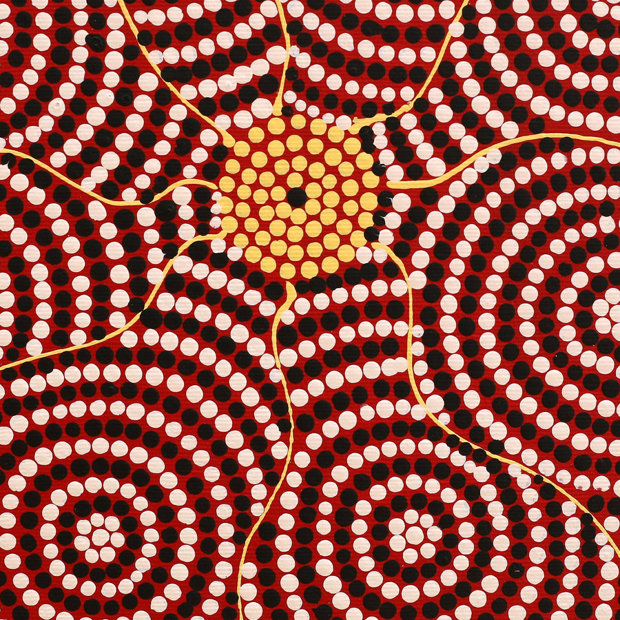 Aboriginal Artwork by Nardia Napurrurla Stafford, Ngurlu Jukurrpa (Native Seed Dreaming), 30x30cm