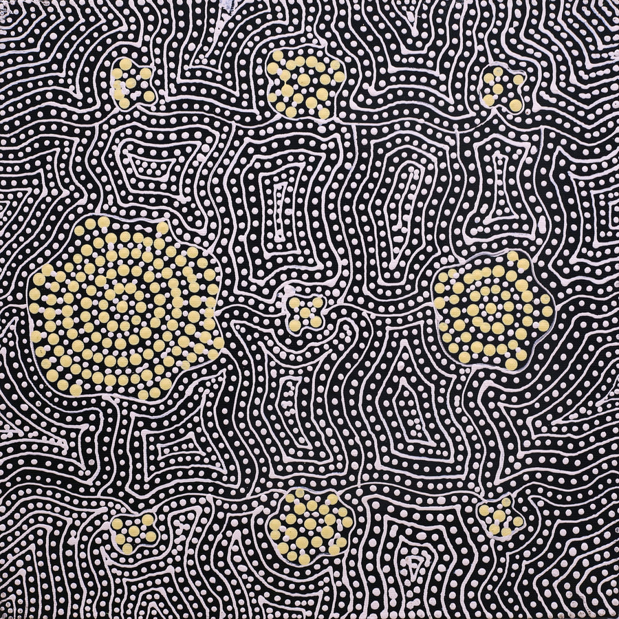 Aboriginal Artwork by Nathania Nangala Granites, Warlukurlangu Jukurrpa (Fire country Dreaming), 30x30cm