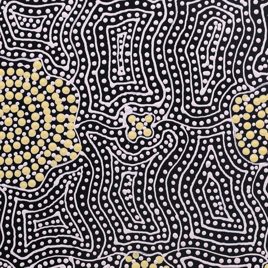 Aboriginal Artwork by Nathania Nangala Granites, Warlukurlangu Jukurrpa (Fire country Dreaming), 30x30cm