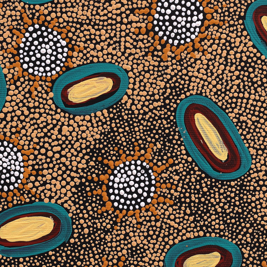Aboriginal Artwork by Nola Napangardi Fisher, Purrpalanji (Skinny Bush Banana) Jukurrpa, 30x30cm