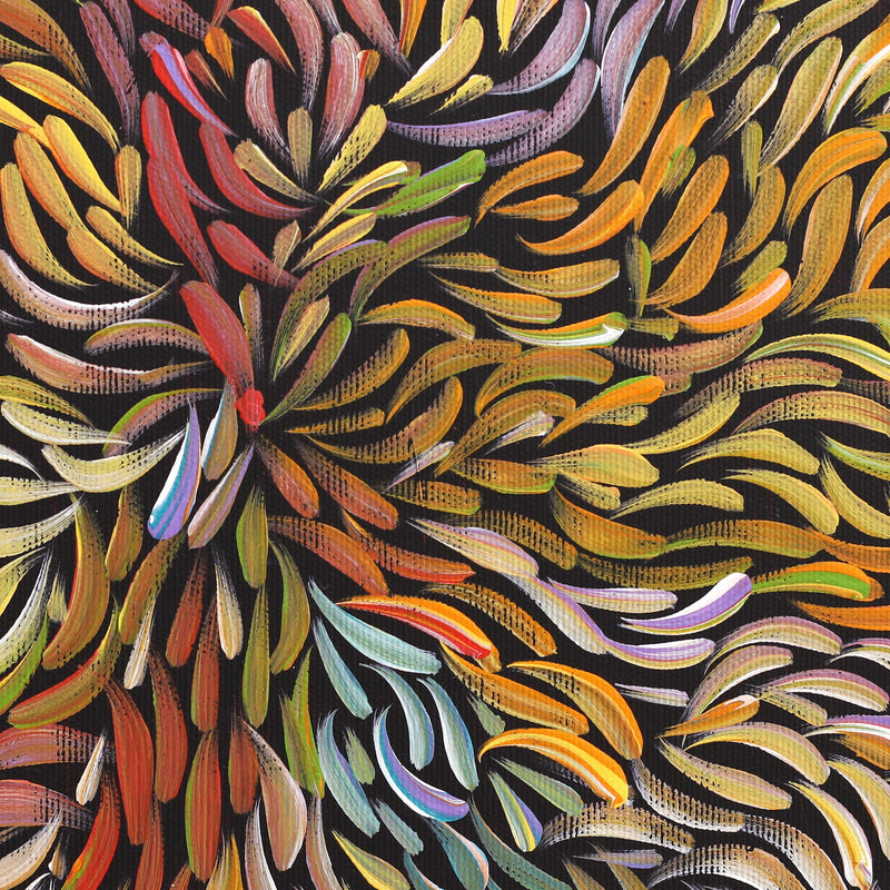 Aboriginal Artwork by Nola Napangardi Fisher, Purrpalanji (Skinny Bush Banana) Jukurrpa, 30x30cm