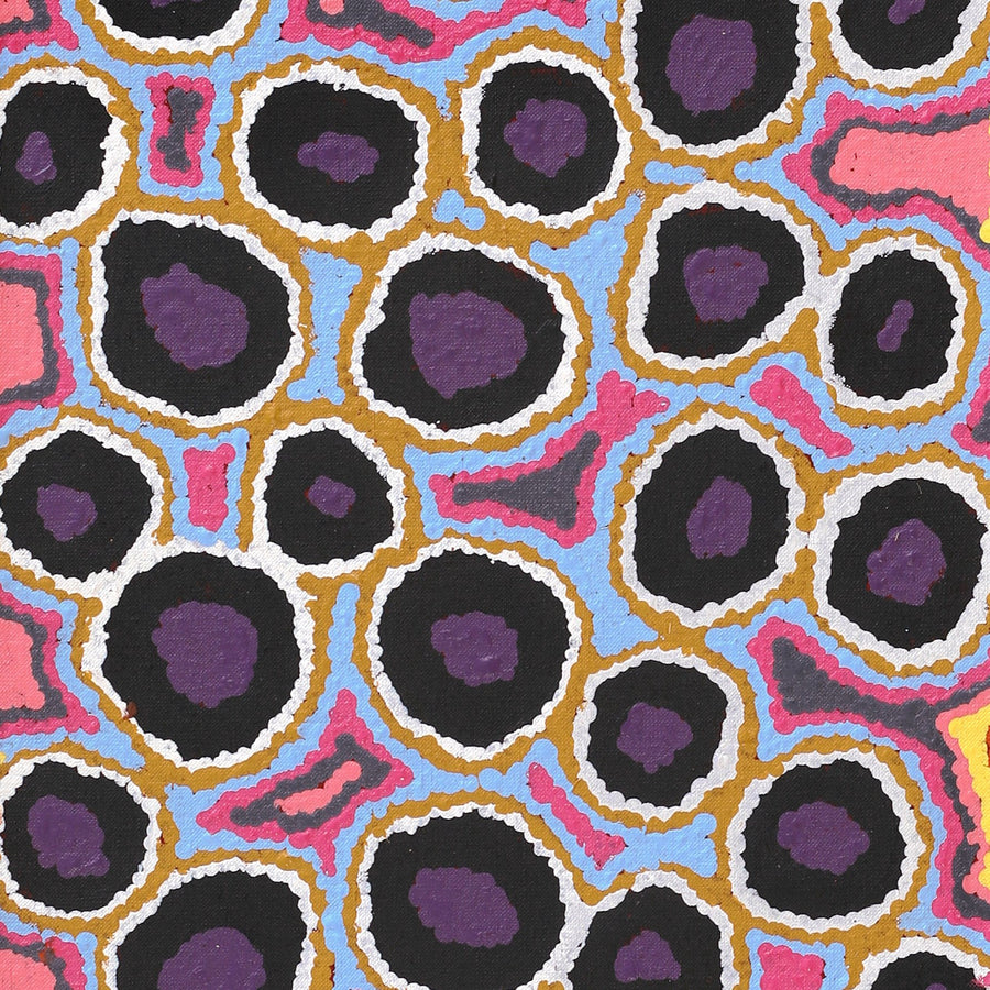 Aboriginal Artwork by Pamela Napurrurla Walker, Janganpa Jukurrpa (Brush-tail Possum Dreaming) - Mawurrji, 107x30cm