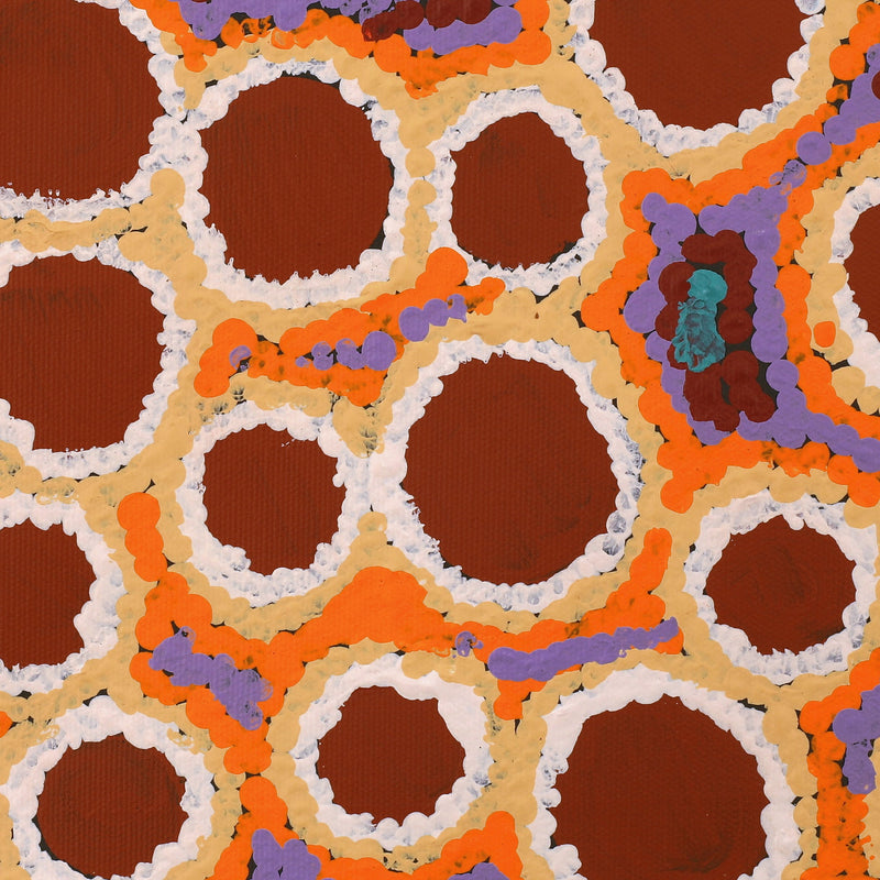 Aboriginal Artwork by Pamela Napurrurla Walker, Janganpa Jukurrpa (Brush-tail Possum Dreaming) - Mawurrji, 30x30cm
