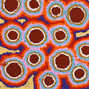 Aboriginal Art by Pamela Napurrurla Walker, Janganpa Jukurrpa (Brush-tail Possum Dreaming) - Mawurrji, 61x30cm - ART ARK®