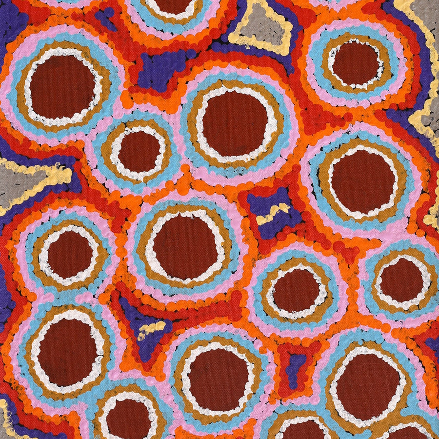 Aboriginal Artwork by Pamela Napurrurla Walker, Janganpa Jukurrpa (Brush-tail Possum Dreaming) - Mawurrji, 61x30cm