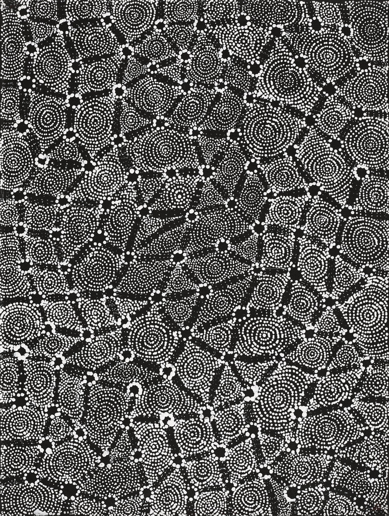 Aboriginal Artwork by Renelle Napanangka McCormack, Pikilyi Jukurrpa (Vaugn Springs Dreaming), 61x46cm