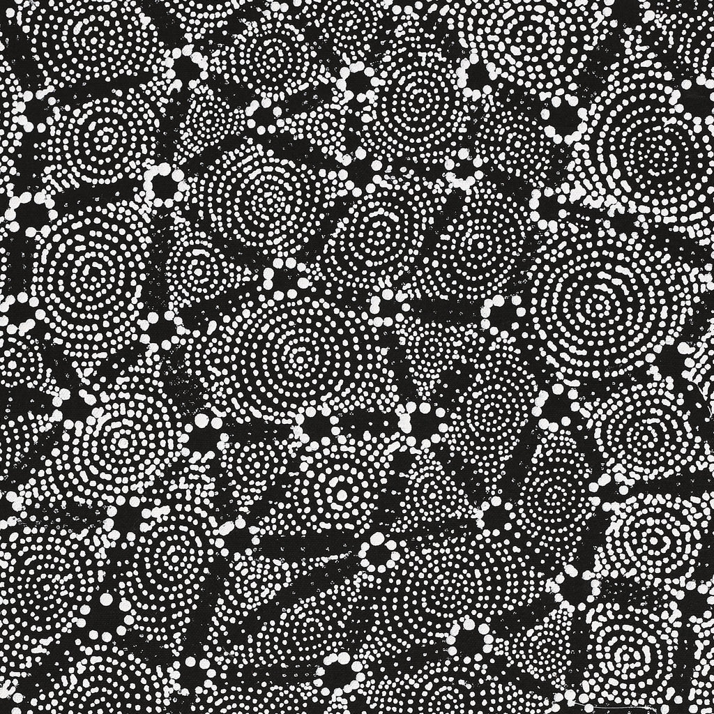 Aboriginal Artwork by Renelle Napanangka McCormack, Pikilyi Jukurrpa (Vaugn Springs Dreaming), 61x46cm