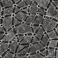 Aboriginal Artwork by Renelle Napanangka McCormack, Pikilyi Jukurrpa (Vaugn Springs Dreaming), 61x46cm