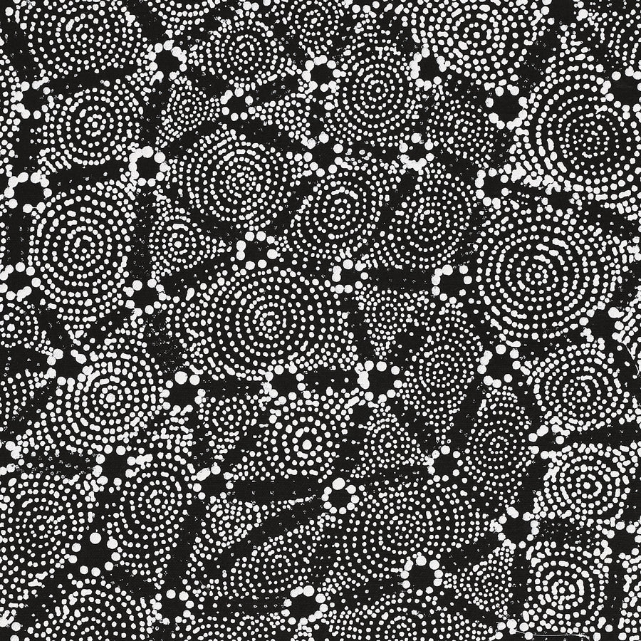 Aboriginal Artwork by Renelle Napanangka McCormack, Pikilyi Jukurrpa (Vaugn Springs Dreaming), 61x46cm