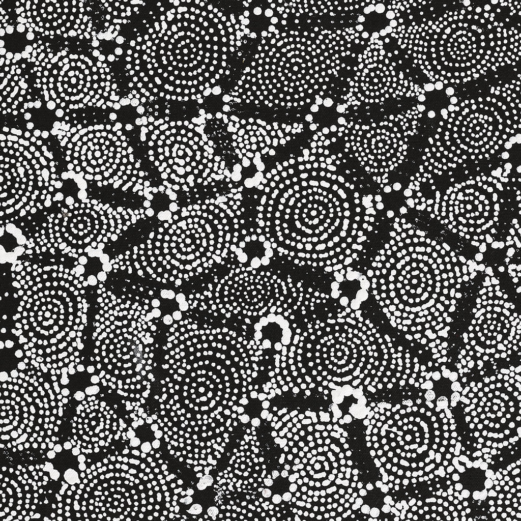 Aboriginal Artwork by Renelle Napanangka McCormack, Pikilyi Jukurrpa (Vaugn Springs Dreaming), 61x46cm