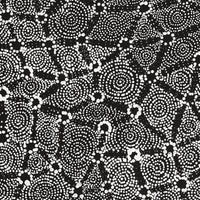 Aboriginal Artwork by Renelle Napanangka McCormack, Pikilyi Jukurrpa (Vaugn Springs Dreaming), 61x46cm