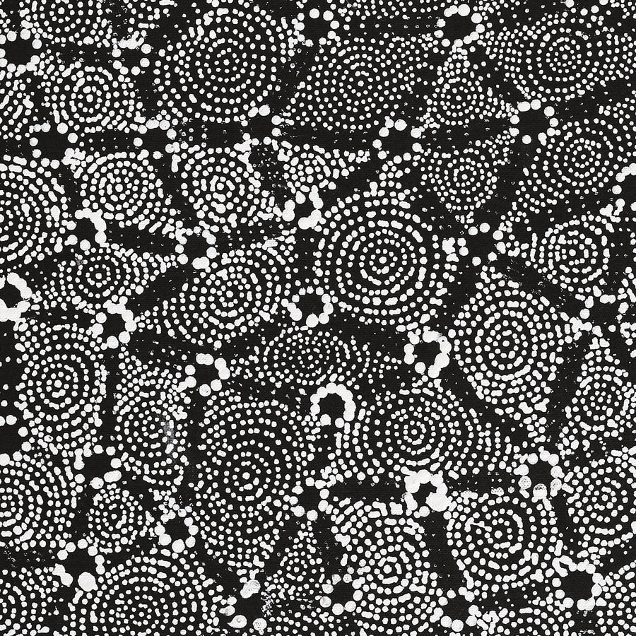 Aboriginal Artwork by Renelle Napanangka McCormack, Pikilyi Jukurrpa (Vaugn Springs Dreaming), 61x46cm