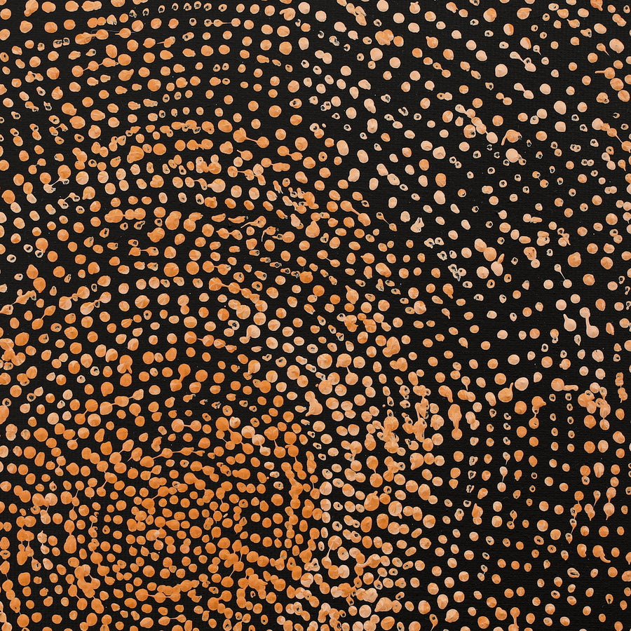 Aboriginal Artwork by Sarah Napurrurla Leo, Ngapa Jukurrpa (Water Dreaming), 30x30cm