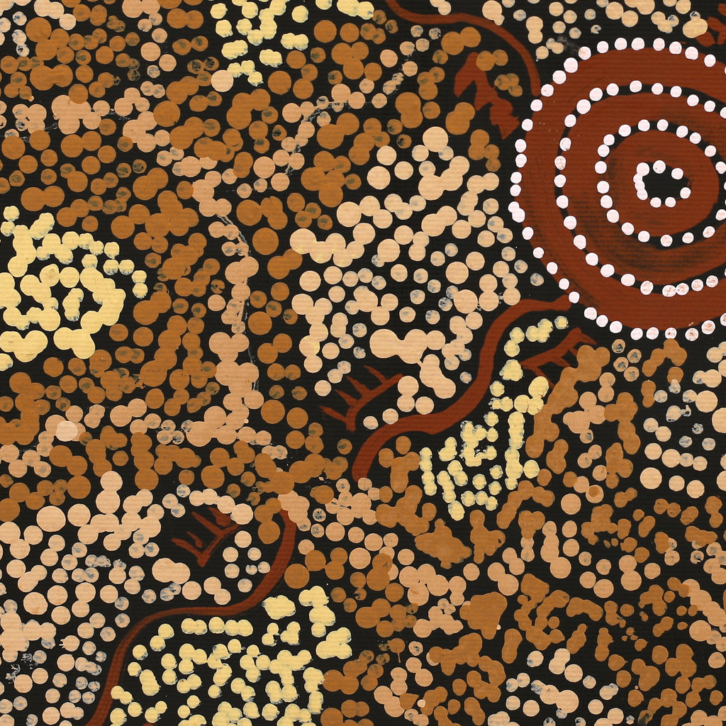 Aboriginal Artwork by Sebastian Japanangka Williams, Wardapi Jukurrpa (Goanna Dreaming) - Yarripurlangu, 30x30cm - ART ARK®
