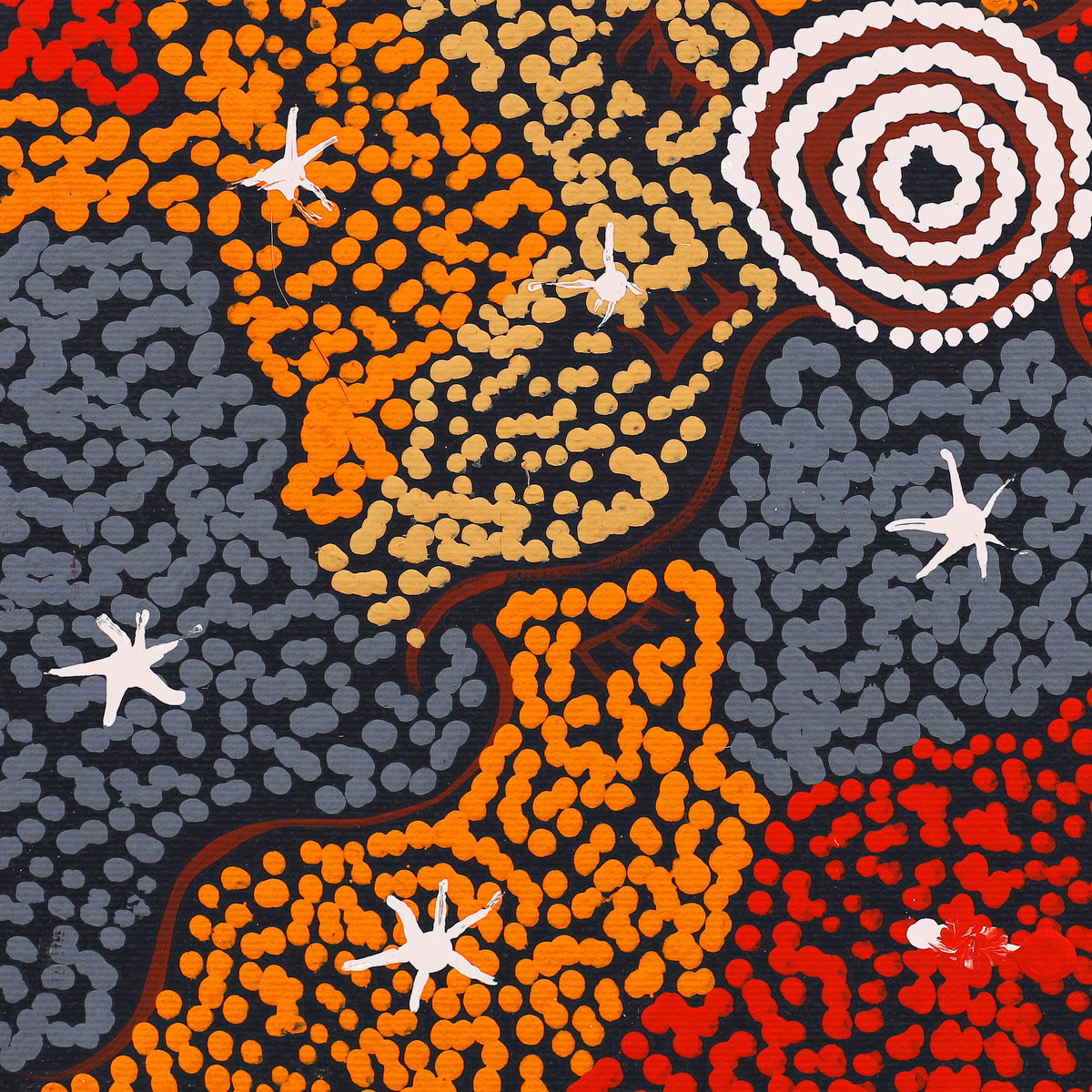 Aboriginal Art by Sebastian Japanangka Williams, Wardapi Jukurrpa (Goanna Dreaming) - Yarripurlangu, 30x30cm - ART ARK®