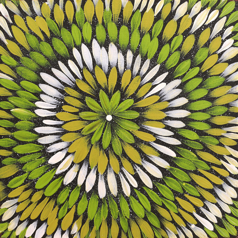 Aboriginal Artwork by Shonelle Napurrurla Stafford, Lukarrara Jukurrpa (Desert Fringe-rush Seed Dreaming), 30x30cm