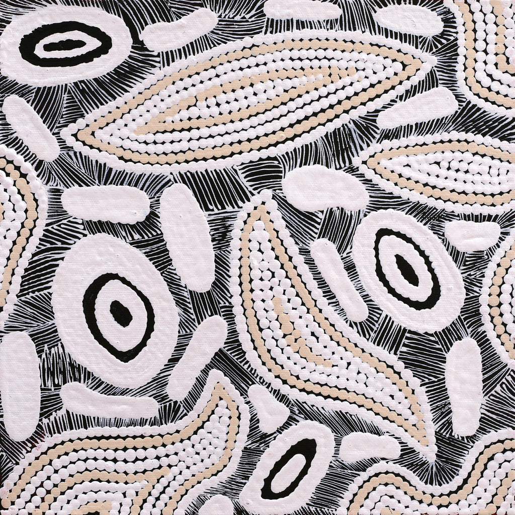 Aboriginal Artwork by Shonelle Napurrurla Stafford, Lukarrara Jukurrpa (Desert Fringe-rush Seed Dreaming), 30x30cm