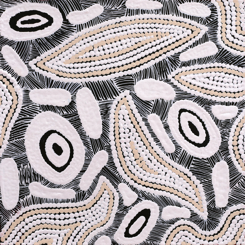 Aboriginal Artwork by Shonelle Napurrurla Stafford, Lukarrara Jukurrpa (Desert Fringe-rush Seed Dreaming), 30x30cm