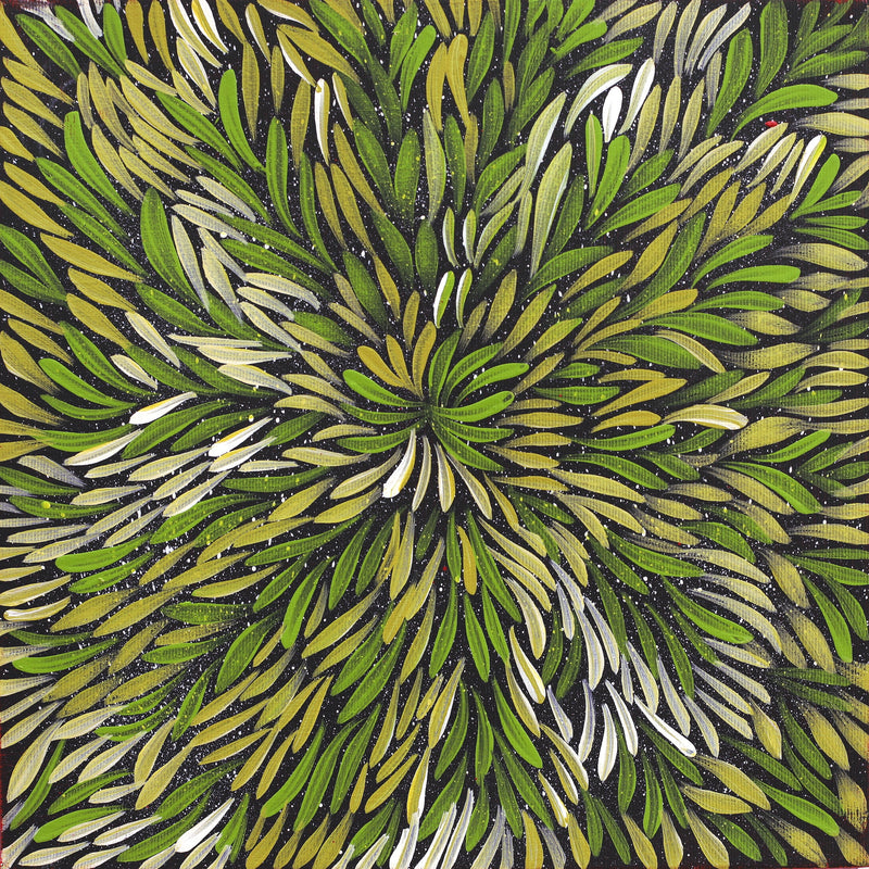 Aboriginal Artwork by Shonelle Napurrurla Stafford, Lukarrara Jukurrpa (Desert Fringe-rush Seed Dreaming), 30x30cm
