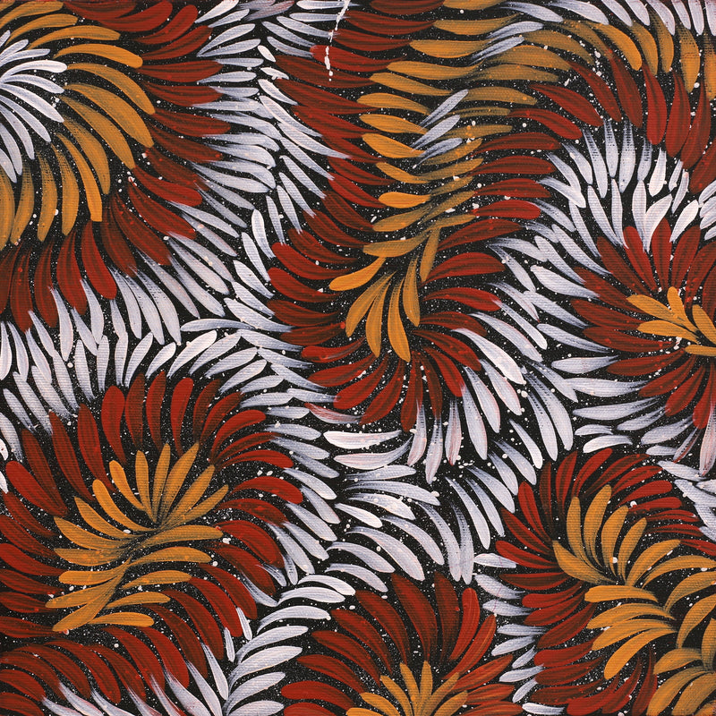 Aboriginal Artwork by Shonelle Napurrurla Stafford, Lukarrara Jukurrpa (Desert Fringe-rush Seed Dreaming), 30x30cm