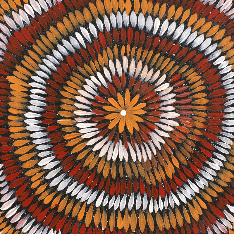 Aboriginal Artwork by Shonelle Napurrurla Stafford, Lukarrara Jukurrpa (Desert Fringe-rush Seed Dreaming), 30x30cm