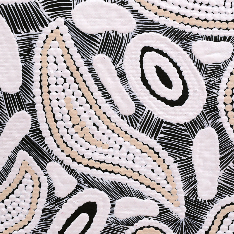 Aboriginal Artwork by Shonelle Napurrurla Stafford, Lukarrara Jukurrpa (Desert Fringe-rush Seed Dreaming), 30x30cm