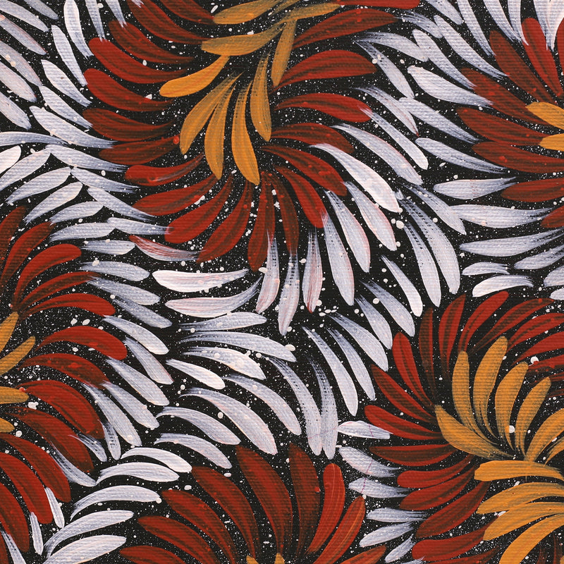 Aboriginal Artwork by Shonelle Napurrurla Stafford, Lukarrara Jukurrpa (Desert Fringe-rush Seed Dreaming), 30x30cm