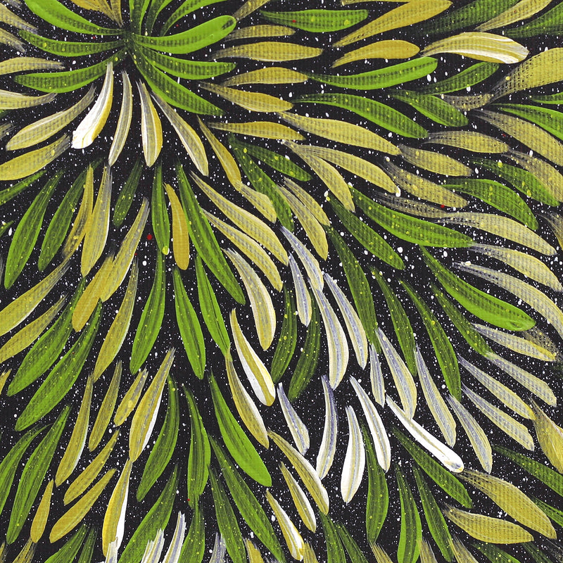 Aboriginal Artwork by Shonelle Napurrurla Stafford, Lukarrara Jukurrpa (Desert Fringe-rush Seed Dreaming), 30x30cm