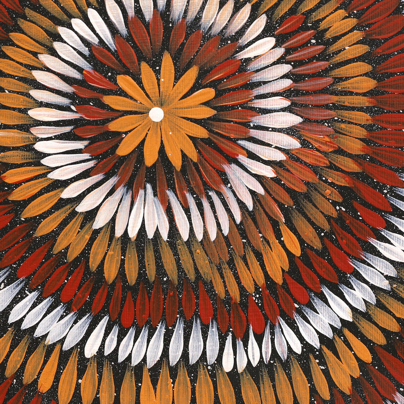 Aboriginal Artwork by Shonelle Napurrurla Stafford, Lukarrara Jukurrpa (Desert Fringe-rush Seed Dreaming), 30x30cm