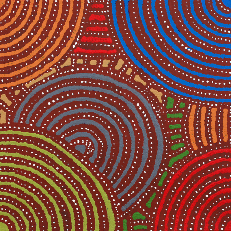 Aboriginal Artwork by Steven Jakamarra Oldfield, Warna Jukurrpa (Snake Dreaming), 30x30cm