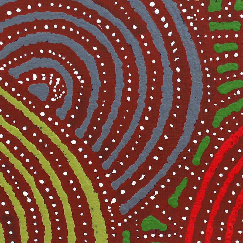 Aboriginal Artwork by Steven Jakamarra Oldfield, Warna Jukurrpa (Snake Dreaming), 30x30cm