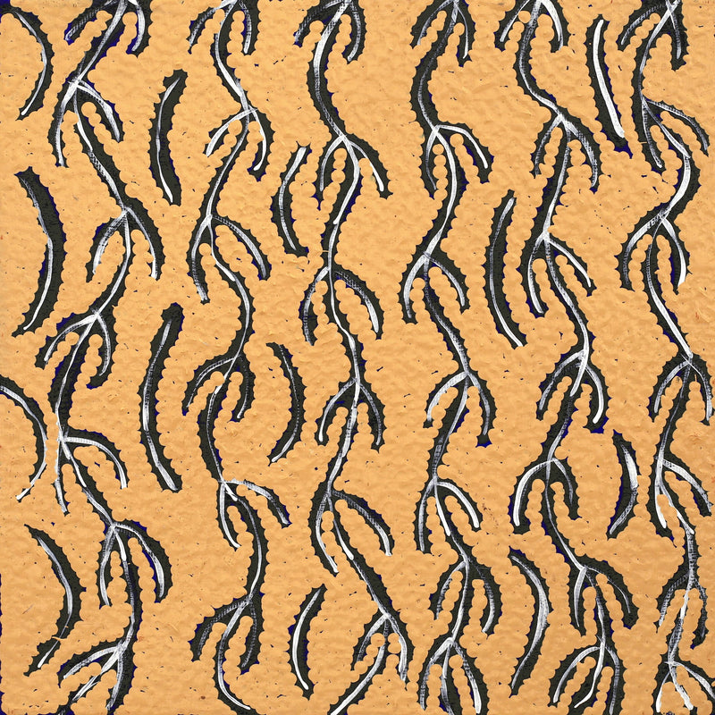 Aboriginal Artwork by Susie Nangala Watson, Mina Mina Dreaming, 30x30cm