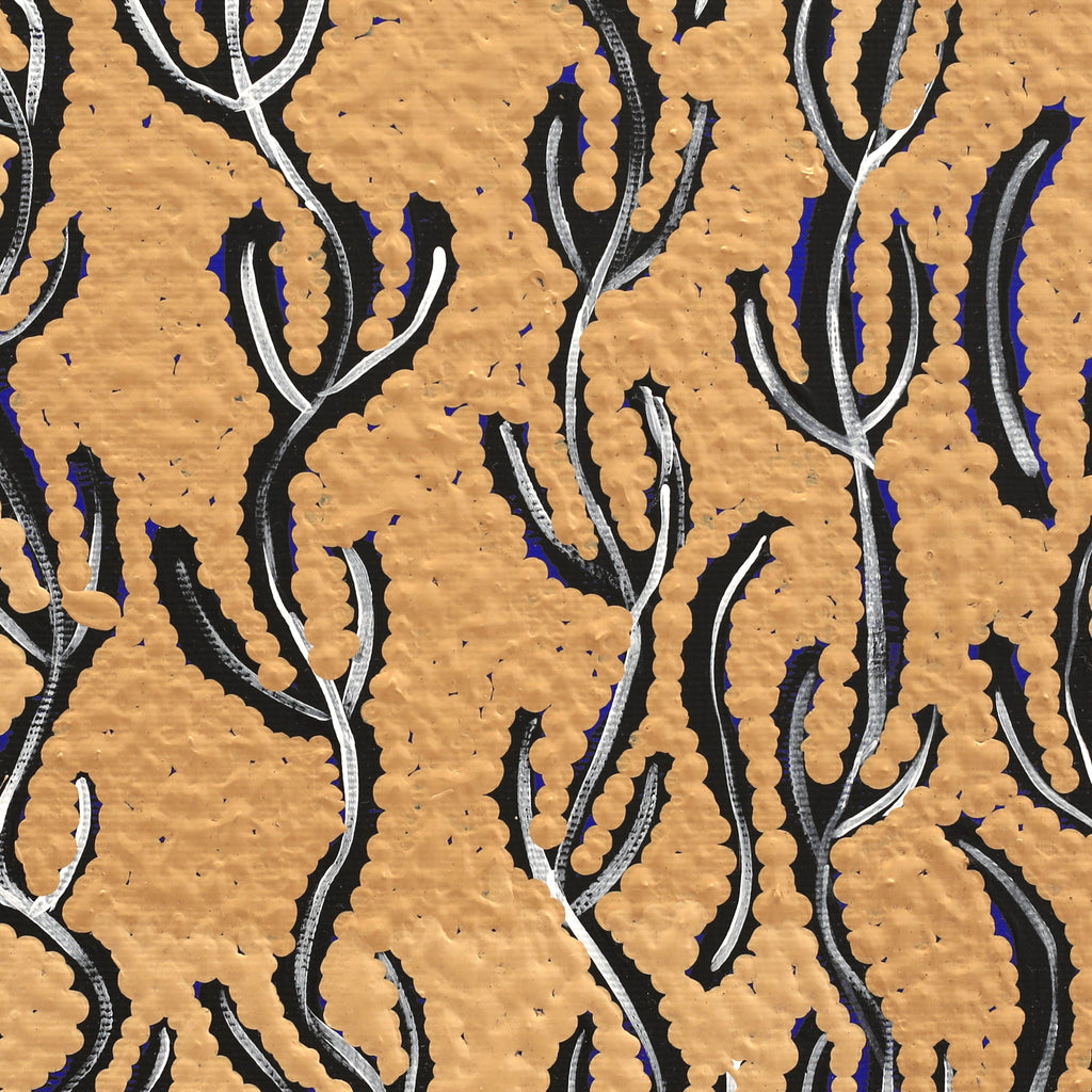 Aboriginal Artwork by Susie Nangala Watson, Mina Mina Dreaming, 30x30cm