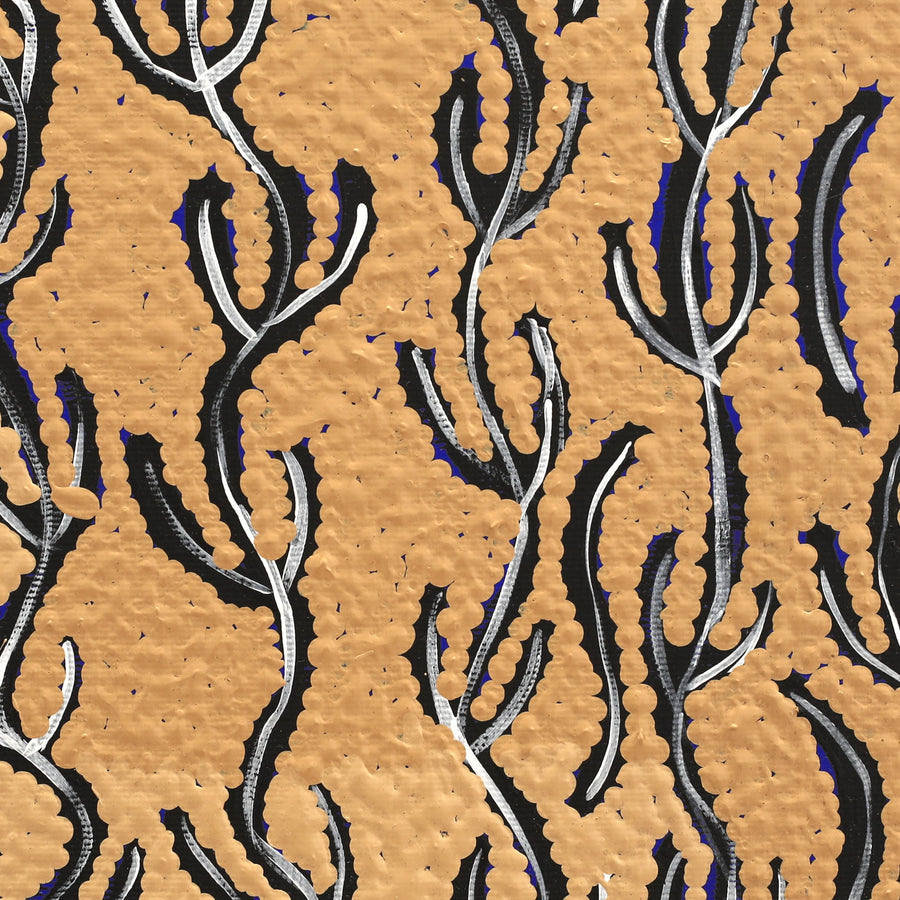 Aboriginal Artwork by Susie Nangala Watson, Mina Mina Dreaming, 30x30cm