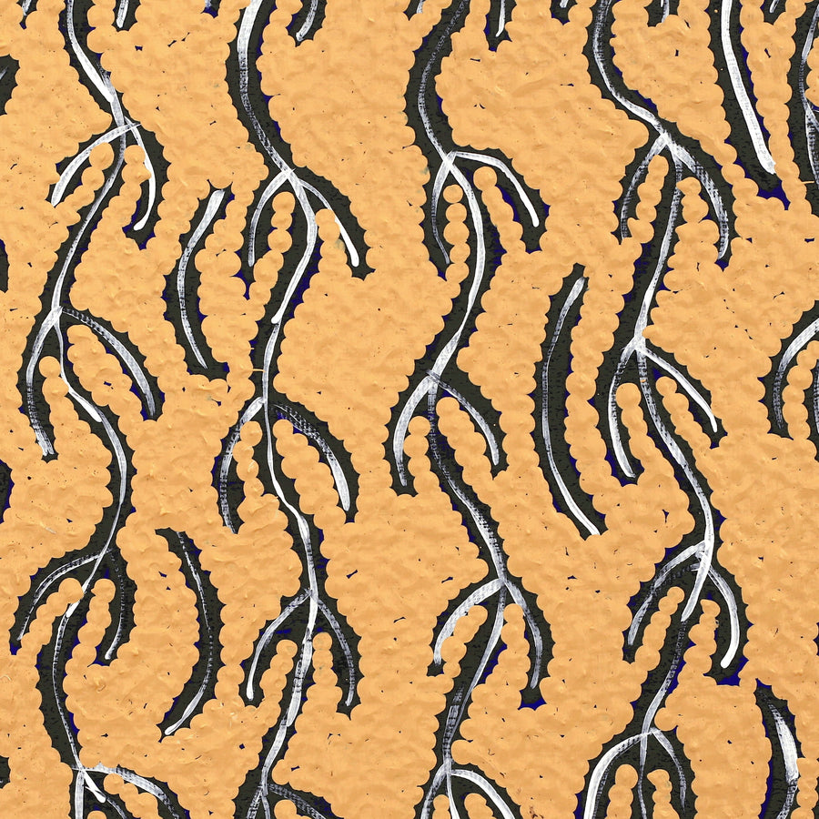 Aboriginal Artwork by Susie Nangala Watson, Mina Mina Dreaming, 30x30cm