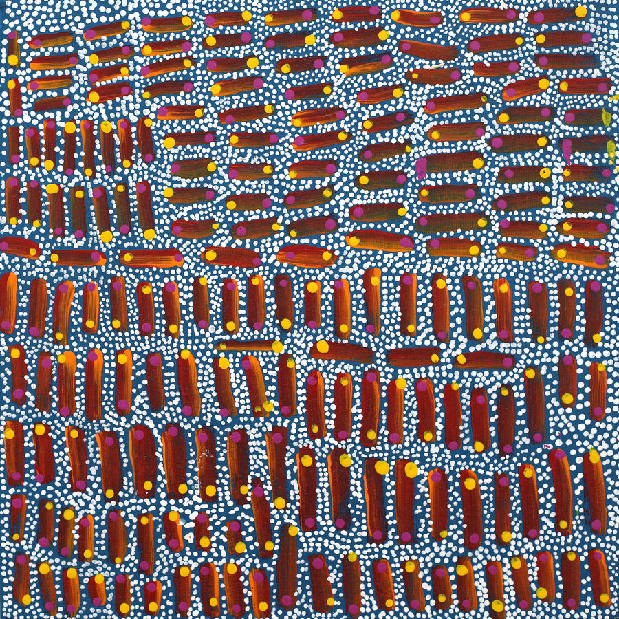 Aboriginal Artwork by Teranie Nangala Williams, Wanakiji Jukurrpa (Bush Tomato Dreaming), 30x30cm