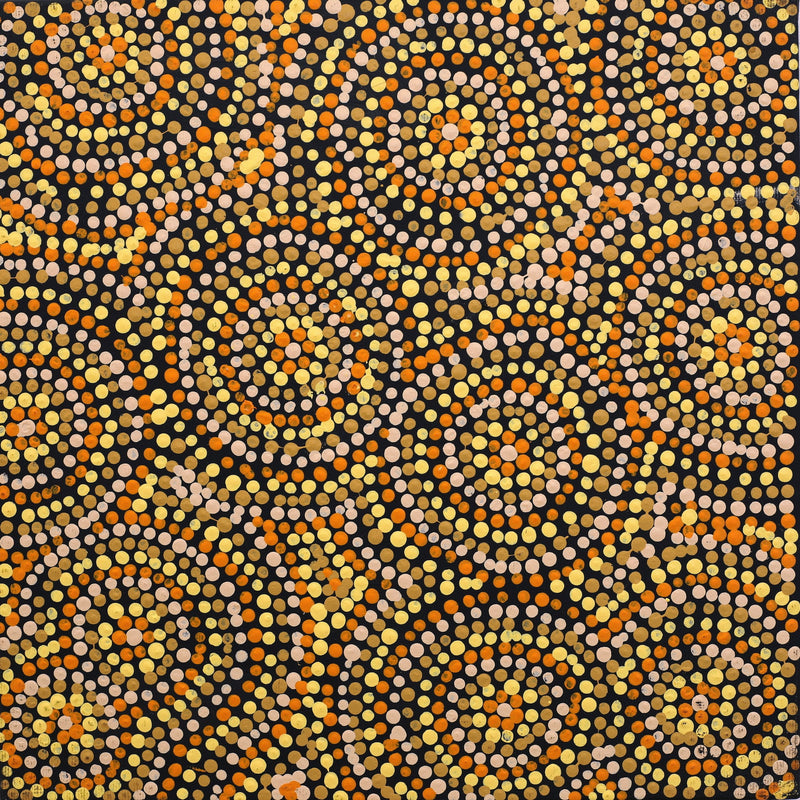 Aboriginal Artwork by Teranie Nangala Williams, Wanakiji Jukurrpa (Bush Tomato Dreaming), 30x30cm