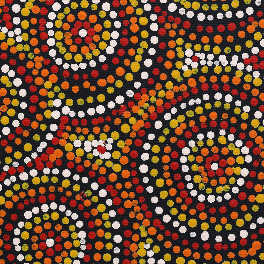 Aboriginal Artwork by Teranie Nangala Williams, Wanakiji Jukurrpa (Bush Tomato Dreaming), 30x30cm