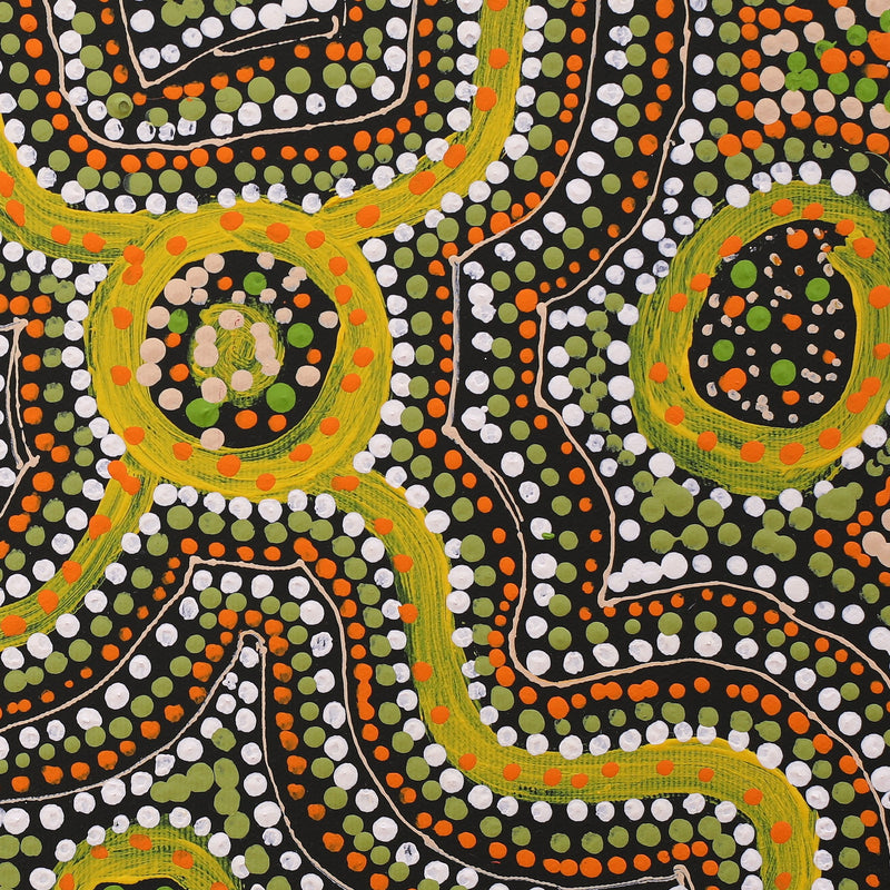 Aboriginal Artwork by Teranie Nangala Williams, Wanakiji Jukurrpa (Bush Tomato Dreaming), 30x30cm