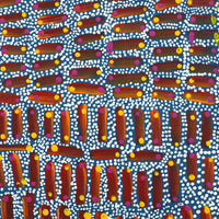 Aboriginal Artwork by Teranie Nangala Williams, Wanakiji Jukurrpa (Bush Tomato Dreaming), 30x30cm