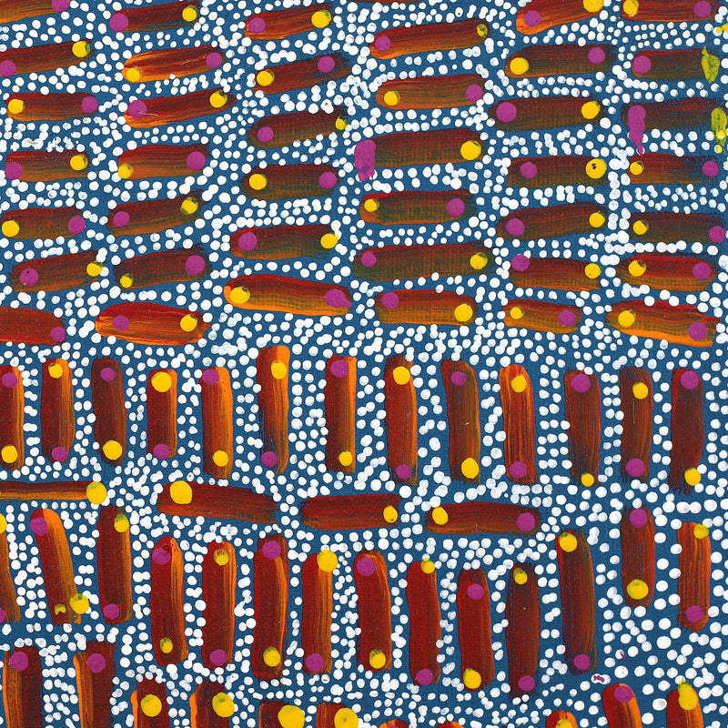 Aboriginal Artwork by Teranie Nangala Williams, Wanakiji Jukurrpa (Bush Tomato Dreaming), 30x30cm