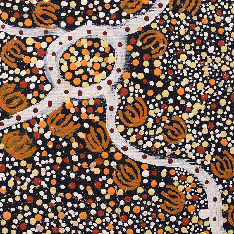 Aboriginal Artwork by Teranie Nangala Williams, Wardapi Jukurrpa (Goanna Dreaming) - Yarripurlangu, 30x30cm