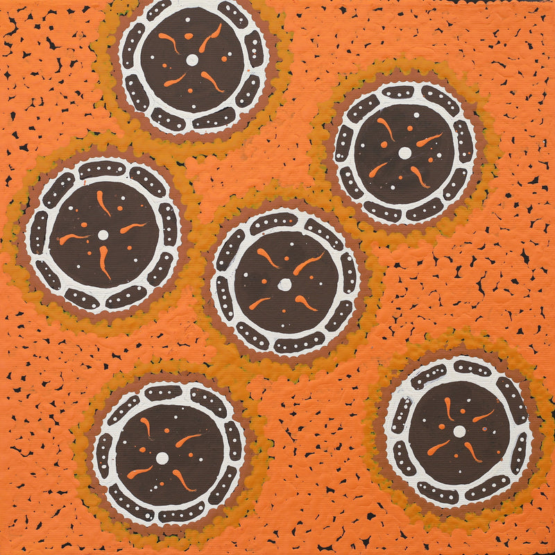 Aboriginal Artwork by Theresa Napurrurla Ross, Pamapardu Jukurrpa (Flying Ant Dreaming) - Warntungurru, 30x30cm