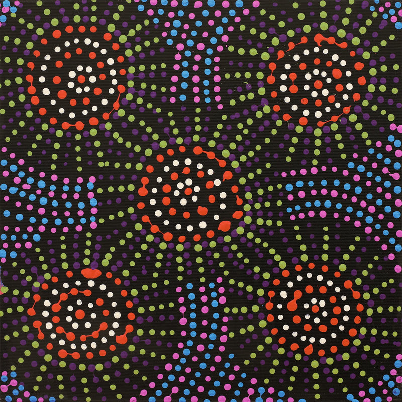 Aboriginal Artwork by Tina Napangardi Martin, Jinti-parnta Jukurrpa, 30x30cm