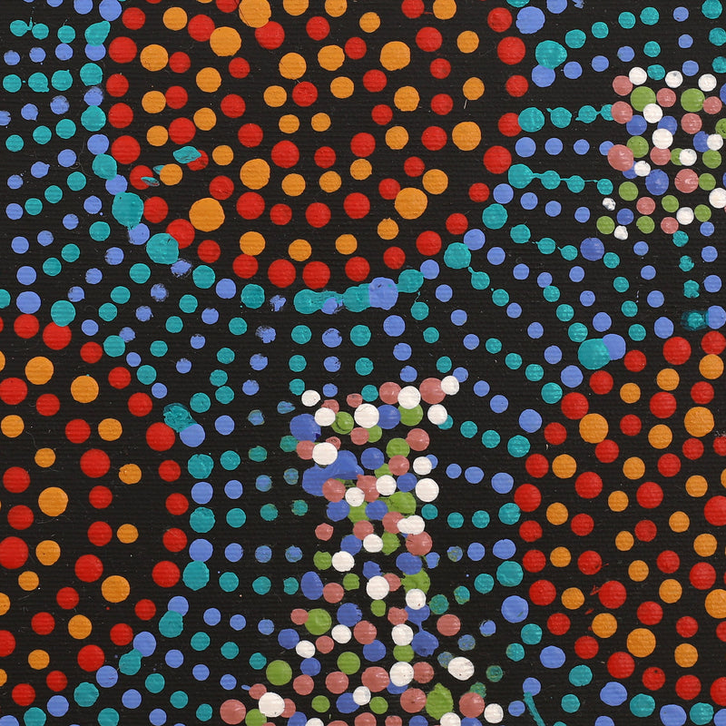 Aboriginal Artwork by Tina Napangardi Martin, Jinti-parnta Jukurrpa, 30x30cm
